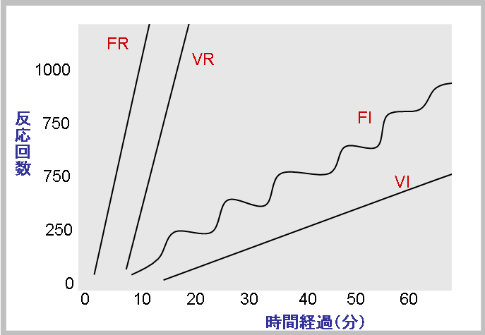 スケジュール2