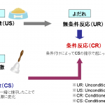 古典的条件づけ（レスポンデント条件付け）