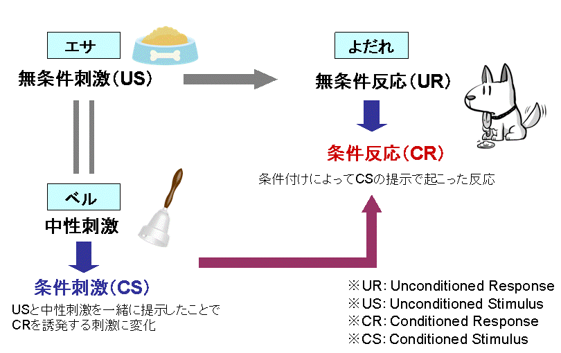 古典的条件付け