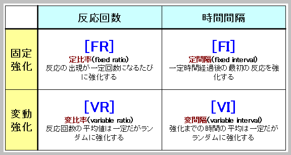 強化スケジュール