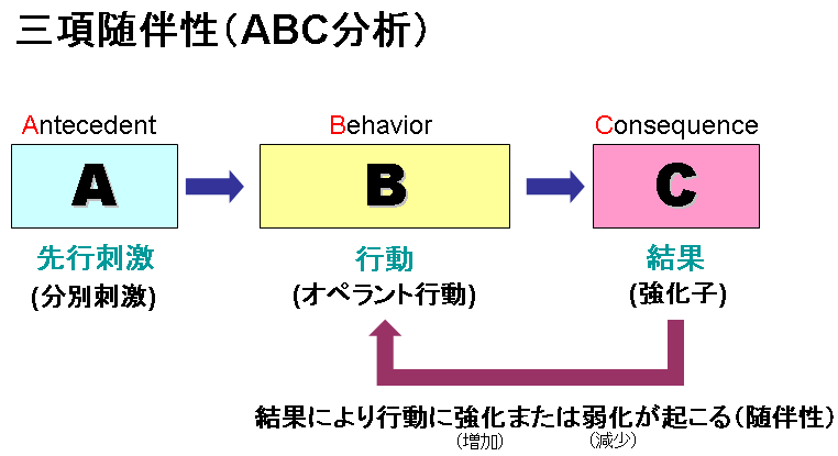 オペラント 行動