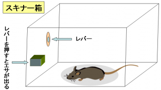 スキナー箱