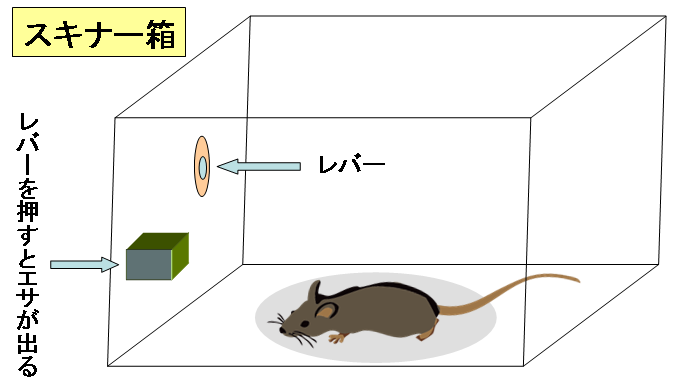 スキナー箱